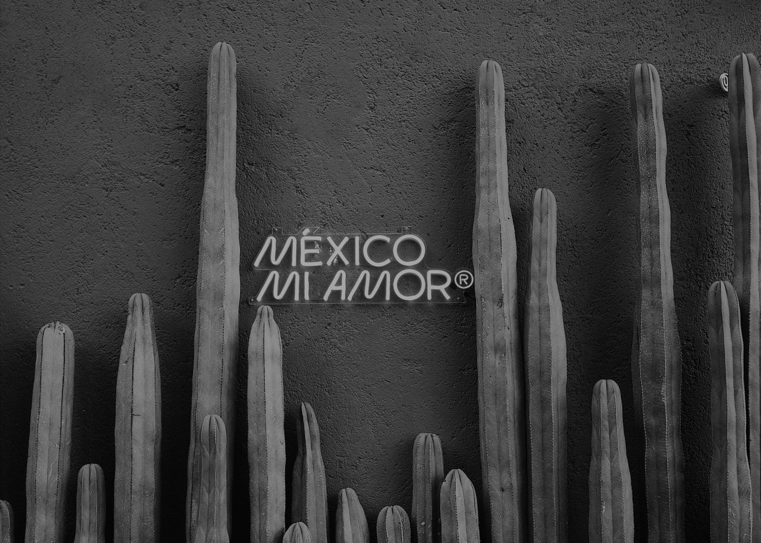 MEXA